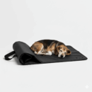 Mata podróżna TrailKin CAR NAP – czarna