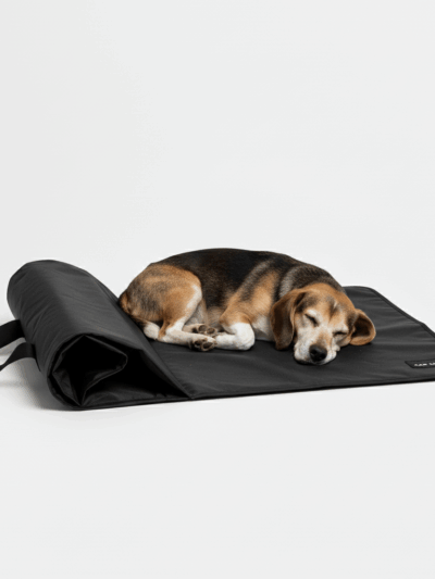 Mata podróżna TrailKin CAR NAP – czarna