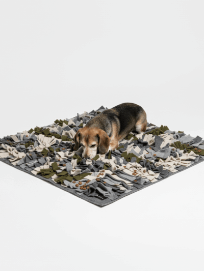 Mata węchowa MuzzleMaven SNIFF FUN – 60×60 cm