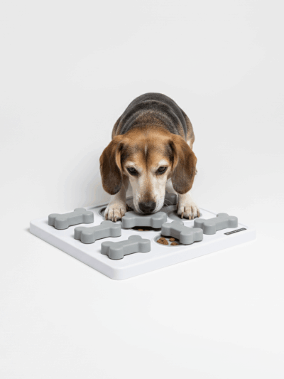 Zabawka interaktywna MuzzleMaven TREAT PUZZLE – poziom 1